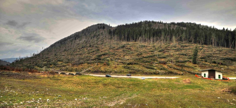 Ogni chilo di Asiago un euro per malghe e pascoli devastati dal maltempo